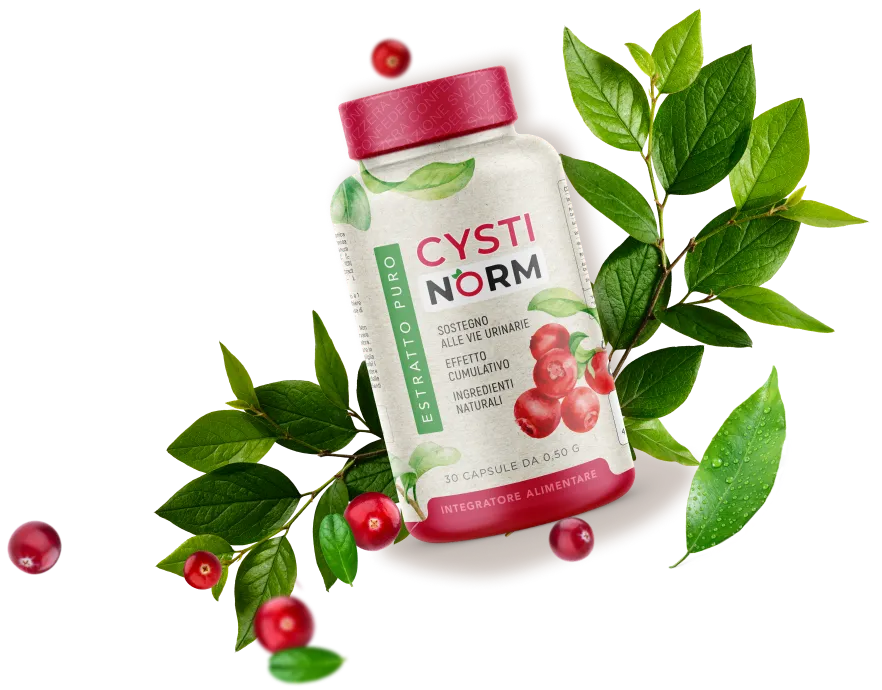CystiNorm Produkt
